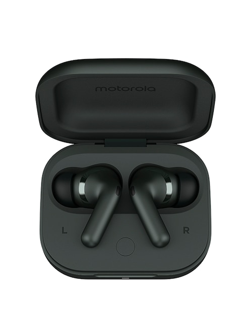 Audífono true wireless Motorola Moto Buds+ inalámbrica con cancelación de ruido Negro
