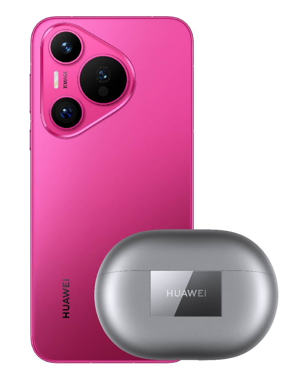 Rosa 2
