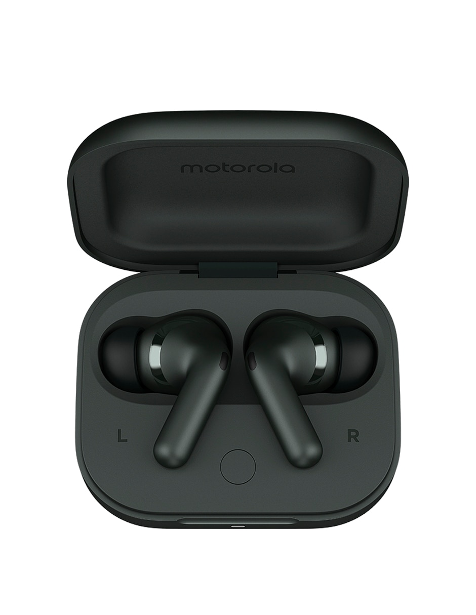 Audífonos True Wireless Motorola Moto Buds+ inalámbricos con cancelación de  ruido